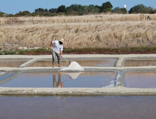 marais salants sur l'ile de Ré