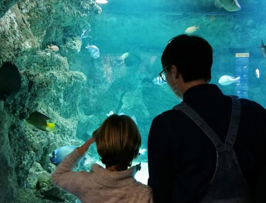Aquarium de La Rochelle