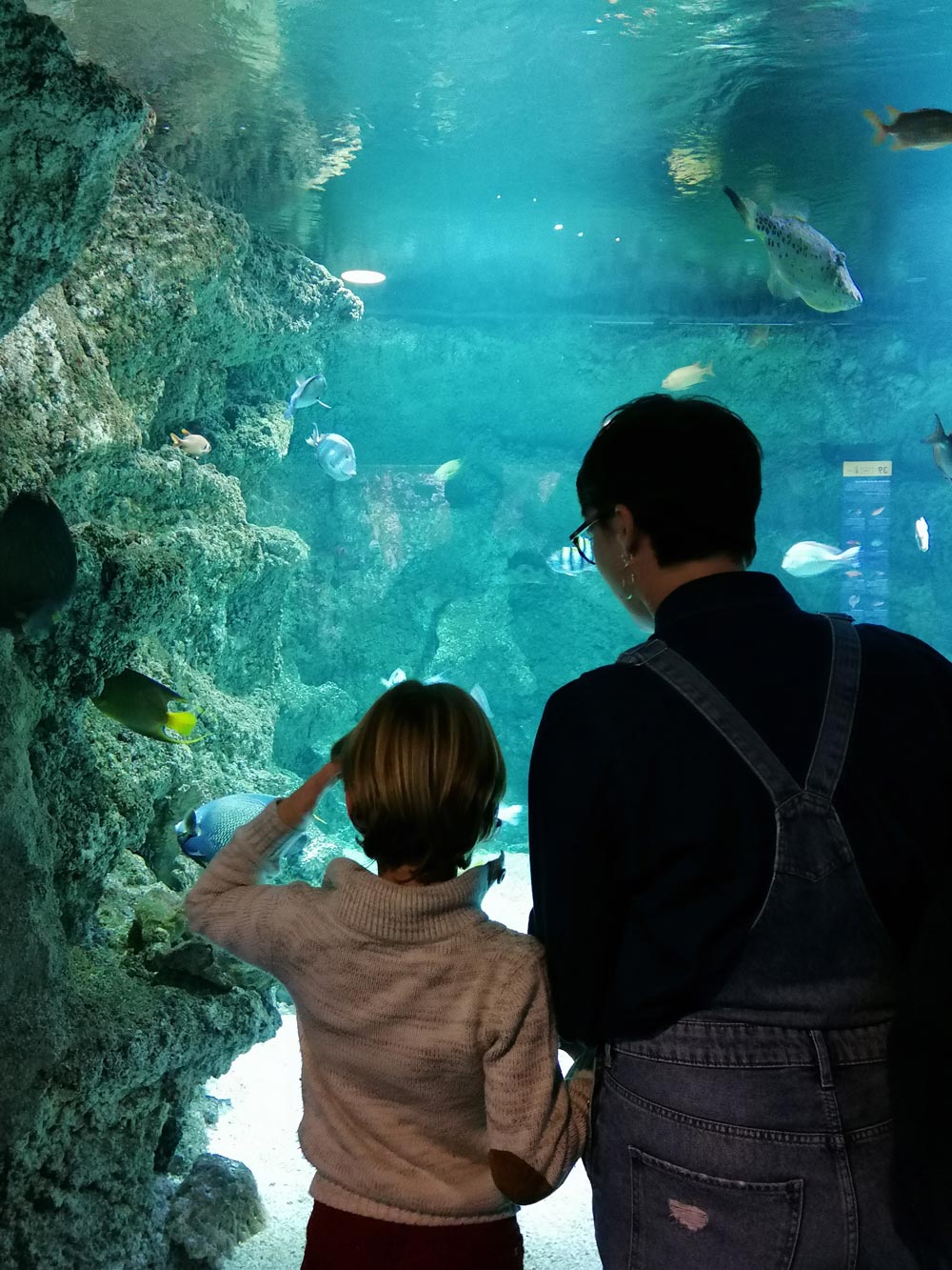 Aquarium de La Rochelle