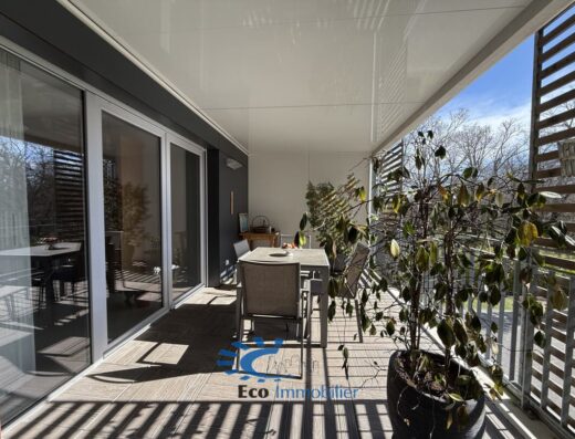 Grand Appartement avec Terrasse