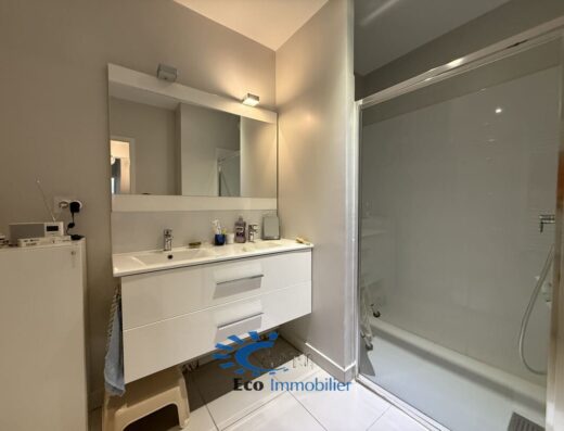 Grand Appartement avec Terrasse