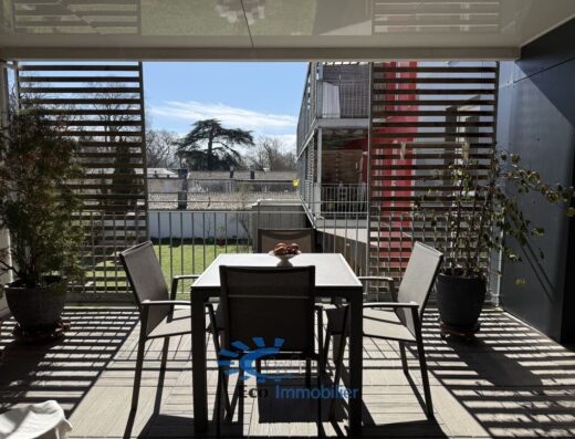 Grand Appartement avec Terrasse