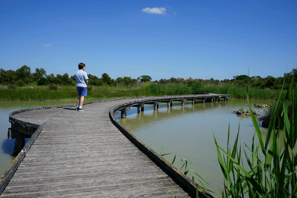Marais de Tasdon à La Rochelle