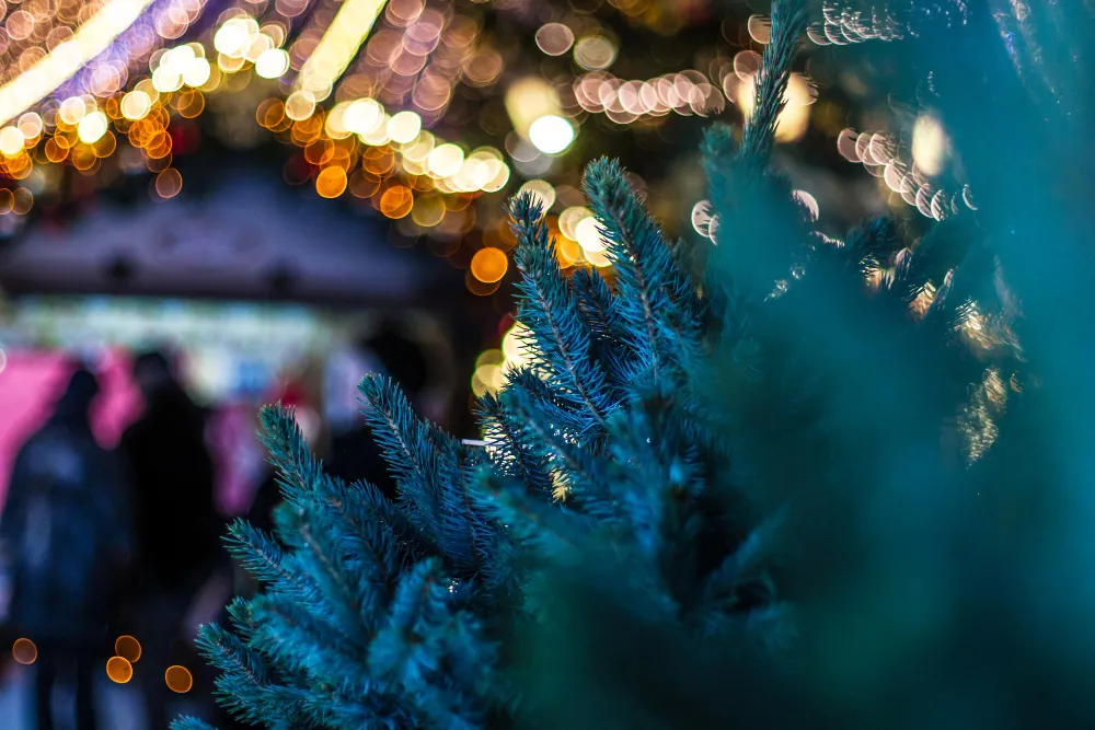 Marché de Noël de Dompierre-sur-Mer