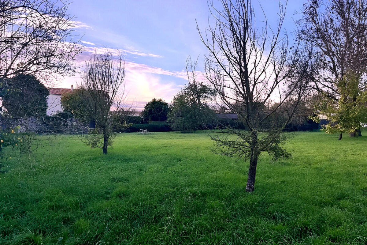 TERRAIN CONSTRUCTIBLE 882 M2 – SAINTE SOULLE — photo 2/4