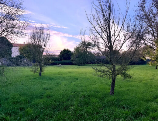 TERRAIN CONSTRUCTIBLE 882 M2 – SAINTE SOULLE