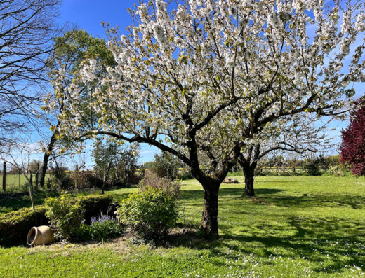 Maison Saint Medard D Aunis – Propriete en Pierre 296 m2 sur 2400 m2 de parcelle