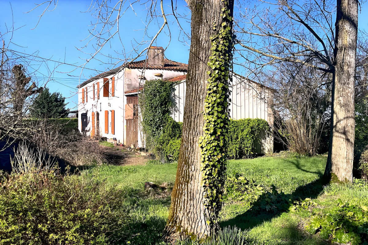 Maison Vix 3 pièce(s) 160m2 SUR 1014 m2 de parcelle — photo 2/8