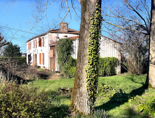 Maison Vix 3 pièce(s) 160m2 SUR 1014 m2 de parcelle