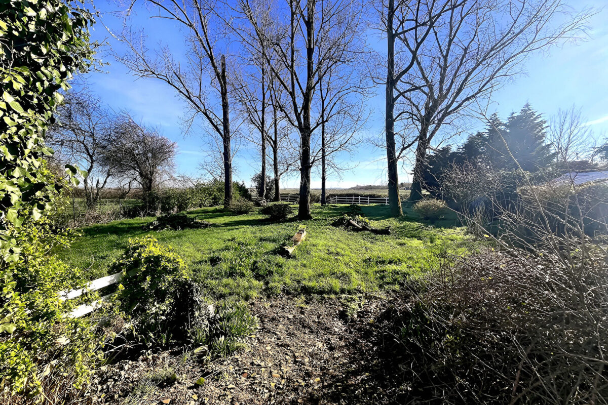 Maison Vix 3 pièce(s) 160m2 SUR 1014 m2 de parcelle — photo 4/8