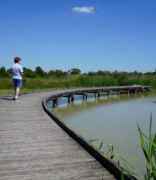 Marais de Tasdon à La Rochelle